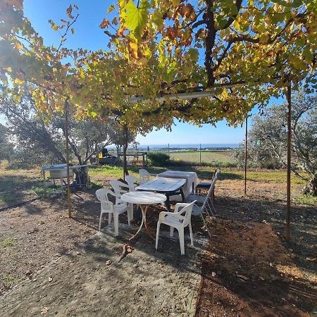 Koloni Spacious Studio In Yeroskipou מראה חיצוני תמונה