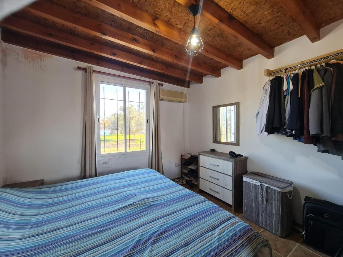 Koloni Spacious Studio In Yeroskipou מראה חיצוני תמונה