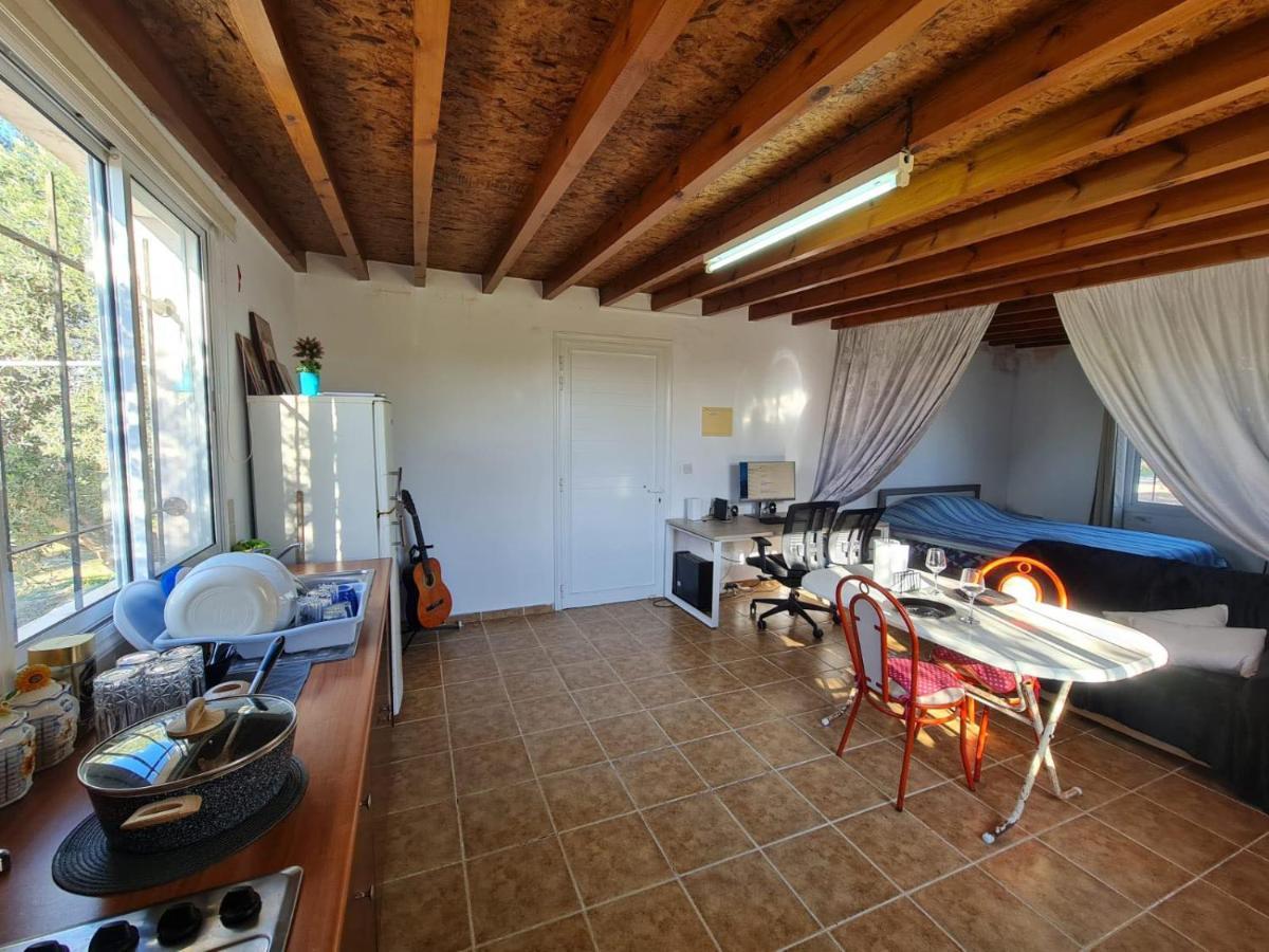 Koloni Spacious Studio In Yeroskipou מראה חיצוני תמונה
