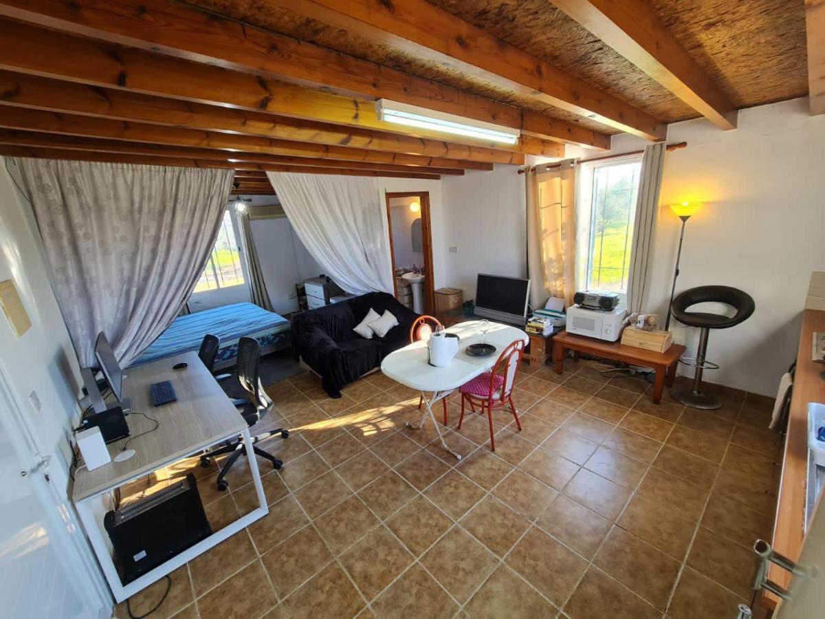 Koloni Spacious Studio In Yeroskipou מראה חיצוני תמונה