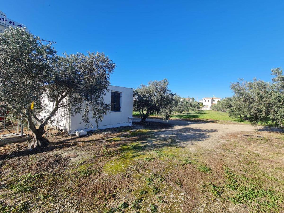 Koloni Spacious Studio In Yeroskipou מראה חיצוני תמונה