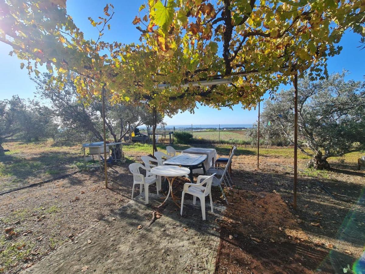Koloni Spacious Studio In Yeroskipou מראה חיצוני תמונה