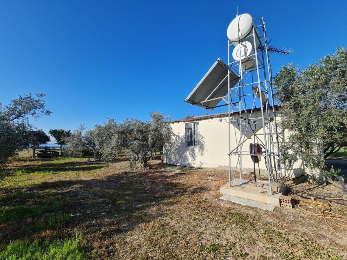 Koloni Spacious Studio In Yeroskipou מראה חיצוני תמונה