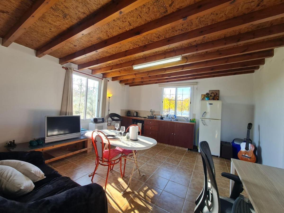 Koloni Spacious Studio In Yeroskipou מראה חיצוני תמונה