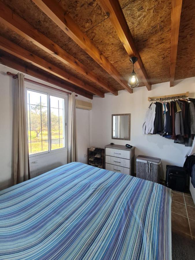 Koloni Spacious Studio In Yeroskipou מראה חיצוני תמונה